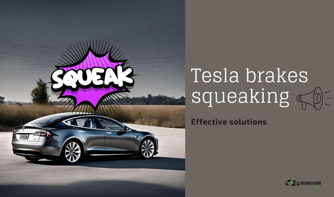 Why are Tesla brakes squeaking